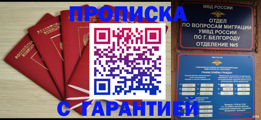 миграционный учет в Лузе